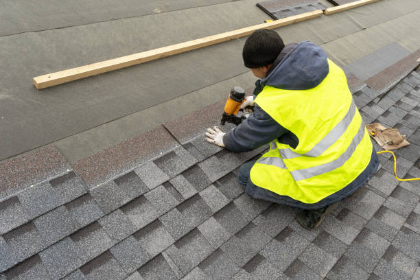 Best Roof Gutter Cleaning  in Springfield, MI