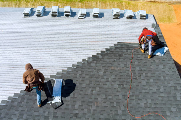 Best Metal Roofing Contractor  in Springfield, MI