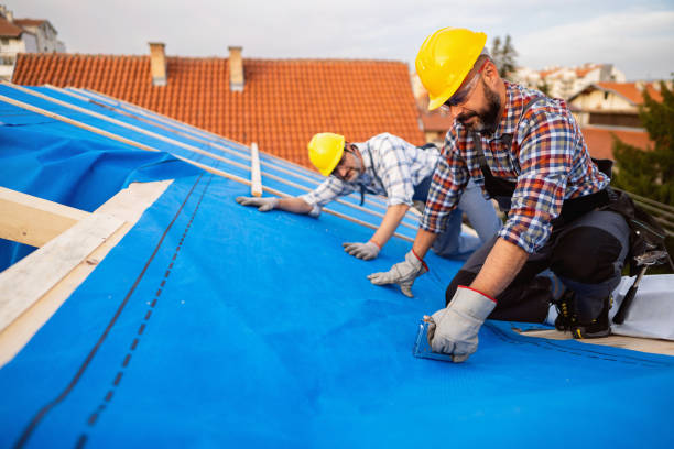 Best Roofing Contractor Near Me  in Springfield, MI